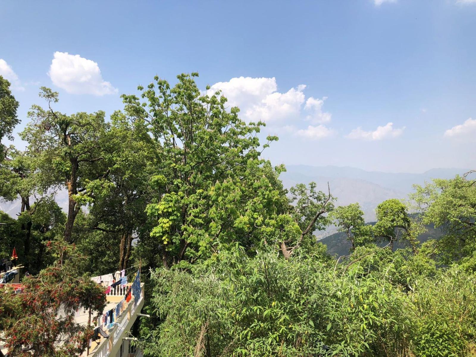 Jindal Home Stay Mussoorie Kültér fotó